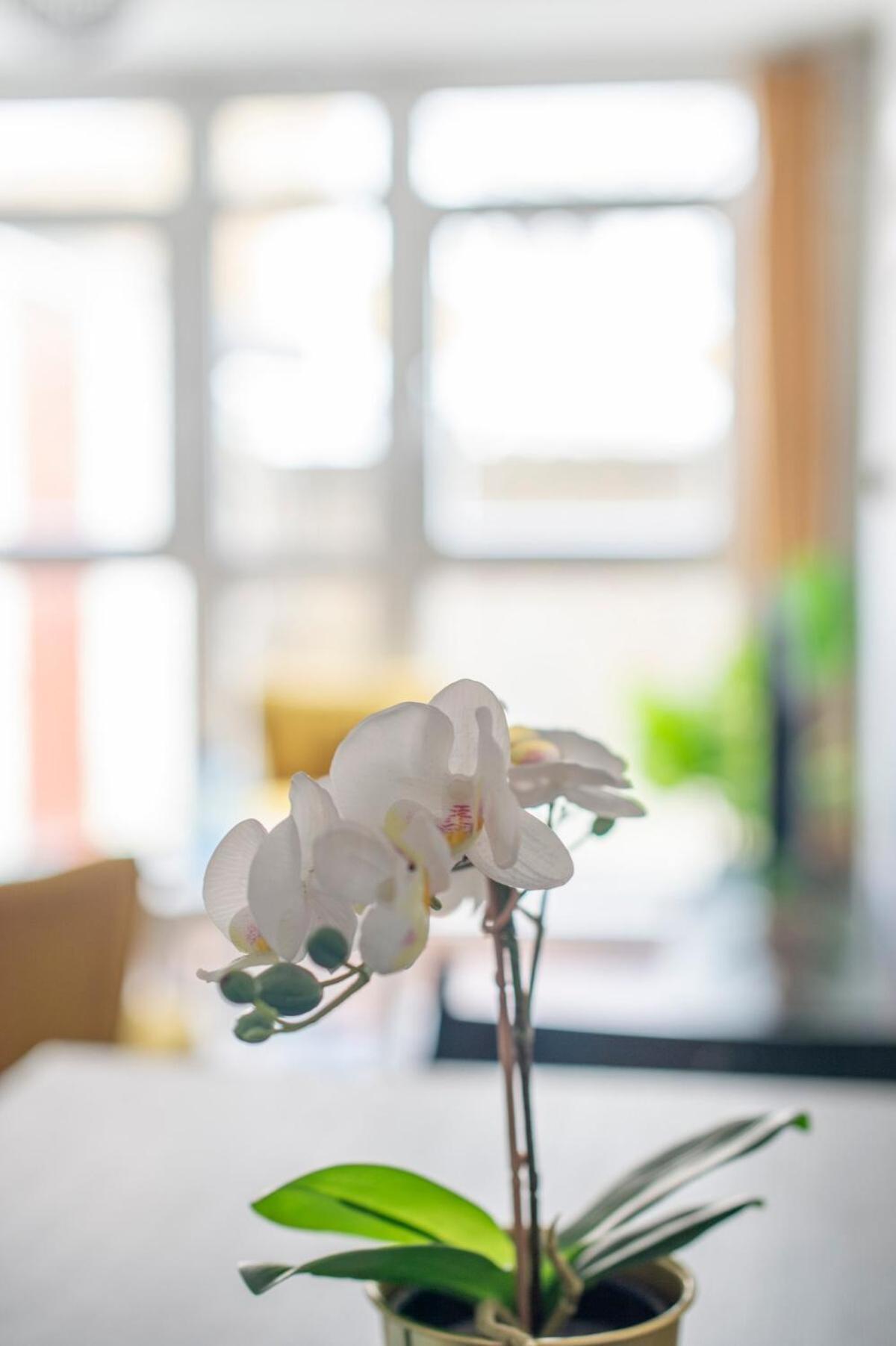 Lovely 2-Bed 20 Mins To Central London Eksteriør billede